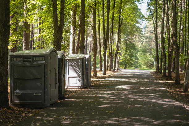 Best Affordable portable toilet rental  in Lynn, IN